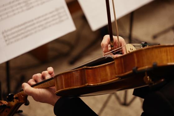 20260405 0067 Duży.jpeg