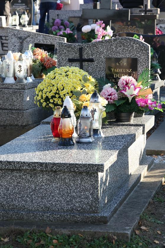 20251101 0046 Duży.jpeg