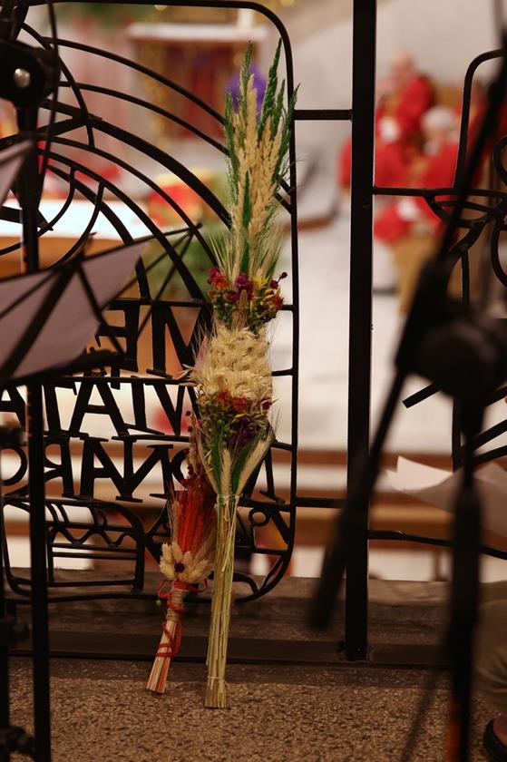 20260329 0082 Duży.jpeg