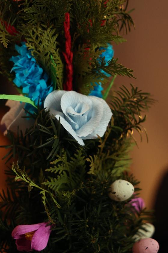 20260329 0083 Duży.jpeg