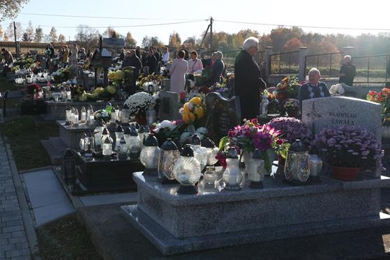 20251101 0018 Duży.jpeg