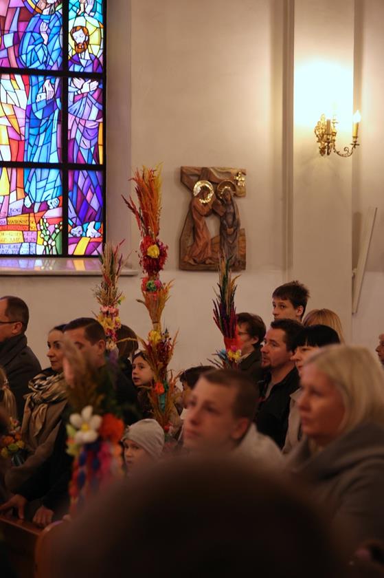 20260329 0090 Duży.jpeg