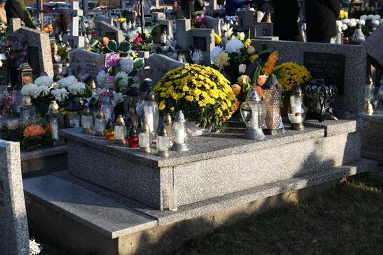 20251101 0079 Duży.jpeg